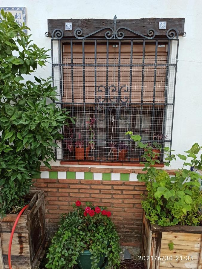 Appartamento La Casita De Paco Albaicin Granada Esterno foto